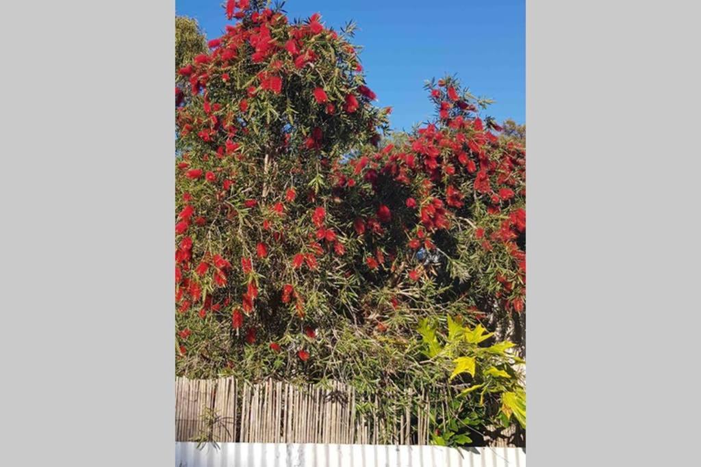 Leeward 'Tranquil Beachfront' Kingscote Luaran gambar